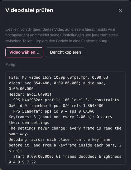 Das Fenster „Videodatei prüfen“ mit seinem Bericht: die Einstellungen des Videos, jede Nahtstelle, Dekodierprüfungen und schwarze Stellen.