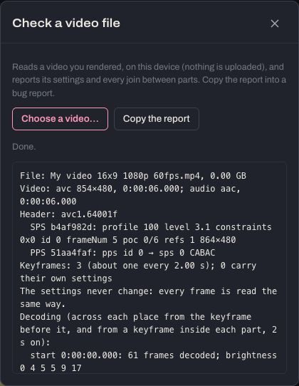 The Check a video file window with its report: the video's settings, every join, decoding checks and black spots.