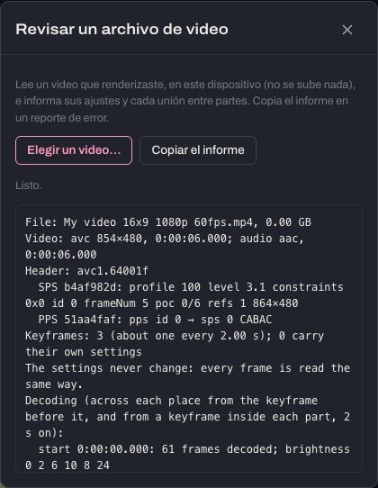 La ventana Revisar un archivo de video con su informe: los ajustes del video, cada unión, revisiones de decodificación y zonas en negro.