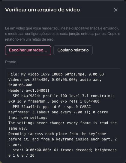 A janela Verificar um arquivo de vídeo com o relatório: as configurações do vídeo, cada junção, verificações de decodificação e trechos pretos.